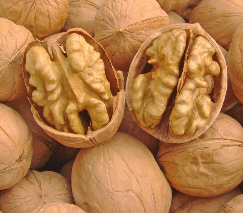 Walnuts A Walnuts (Turkey Manufacturer) Agriculture Product