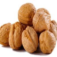 Walnuts In Shell For Sale