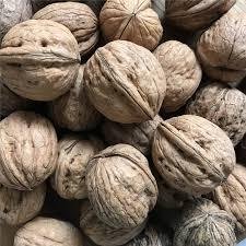 Walnuts In Shell For Sale 3