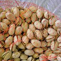 PISTACHIO NUT,CASHEW,,ALMOND NUTS AT BEST PRICE