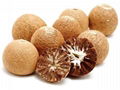 Betel Nut (Areca nut )High Quality and