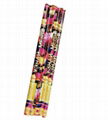 Outdoor Coloured Shots W/Bang 17.5″ kids toy fireworks wholesale 1