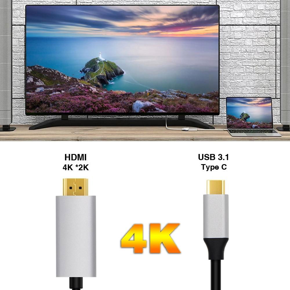 Usb Hdmi Usb 3.1 Type C To Hdmi Cable Usb-C Converter 3 Feet For Macbook Hd Tv 4 3