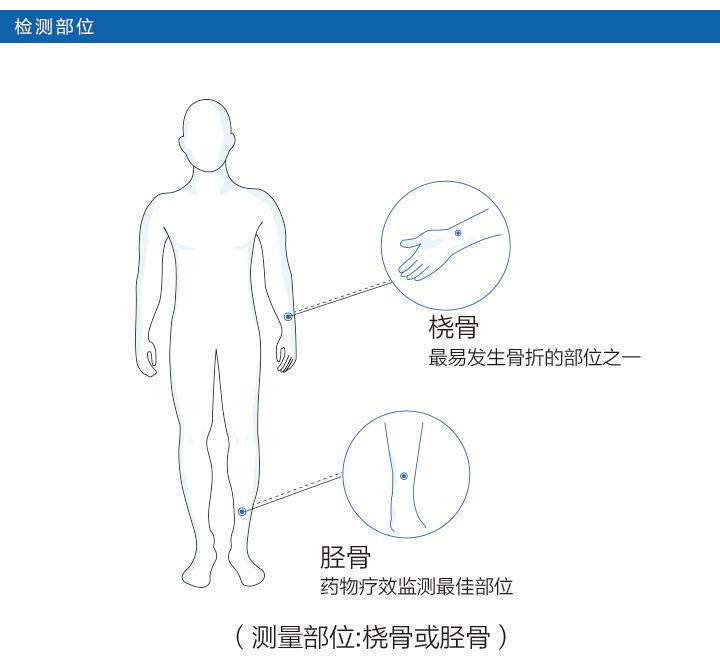 桡骨胫骨骨密度仪 3