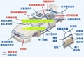 熱塑性彈性體TPV完美代替山都