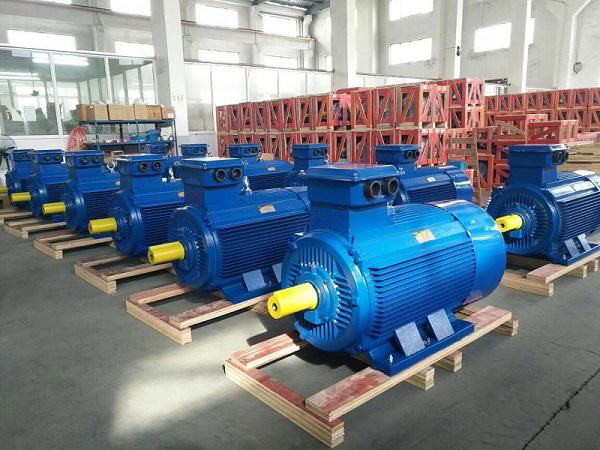 3 Phase Induction Motor