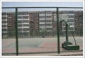 Wire Mesh Fence best selling