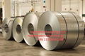  PPGI, GI, COLOR CORRUGATED STEEL SHEET 4