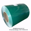 wrinkle PPGI steel coil 5