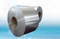 Galvanized Steel Strip 2