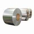 Galvanized Steel Strip 3