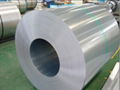 Prepainted Hot Dipped Galvanized Steel Sheet in Coil 3