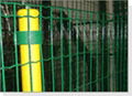 Welded Wire Mesh With Powder Coated