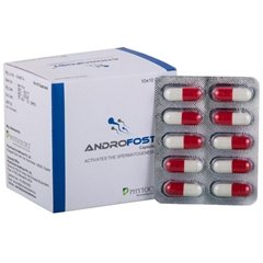 Cap. AndroFost - A Natural Supplement for Male Infertility