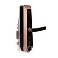 Fingerprint and RFID Card and Touchpad Digital Door Lock - I8A1FMT