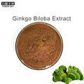 Ginkgo biloba extract 1