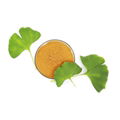 Ginkgo biloba extract 3