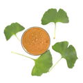 Ginkgo biloba extract 2