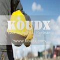 KOUDX Combustible Cabinet 4