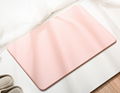 Diatomite Bath Mat for Shower Room 1