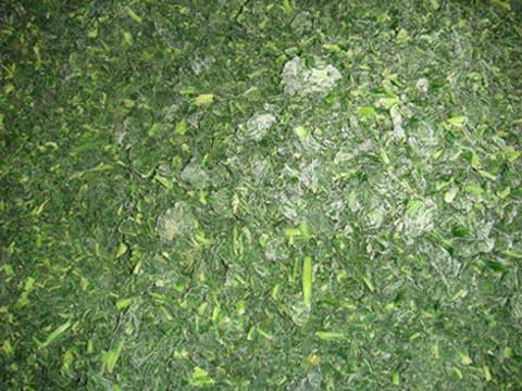 frozen spinach 5