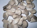 冷凍蘑菇 2
