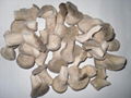冷凍蘑菇 3