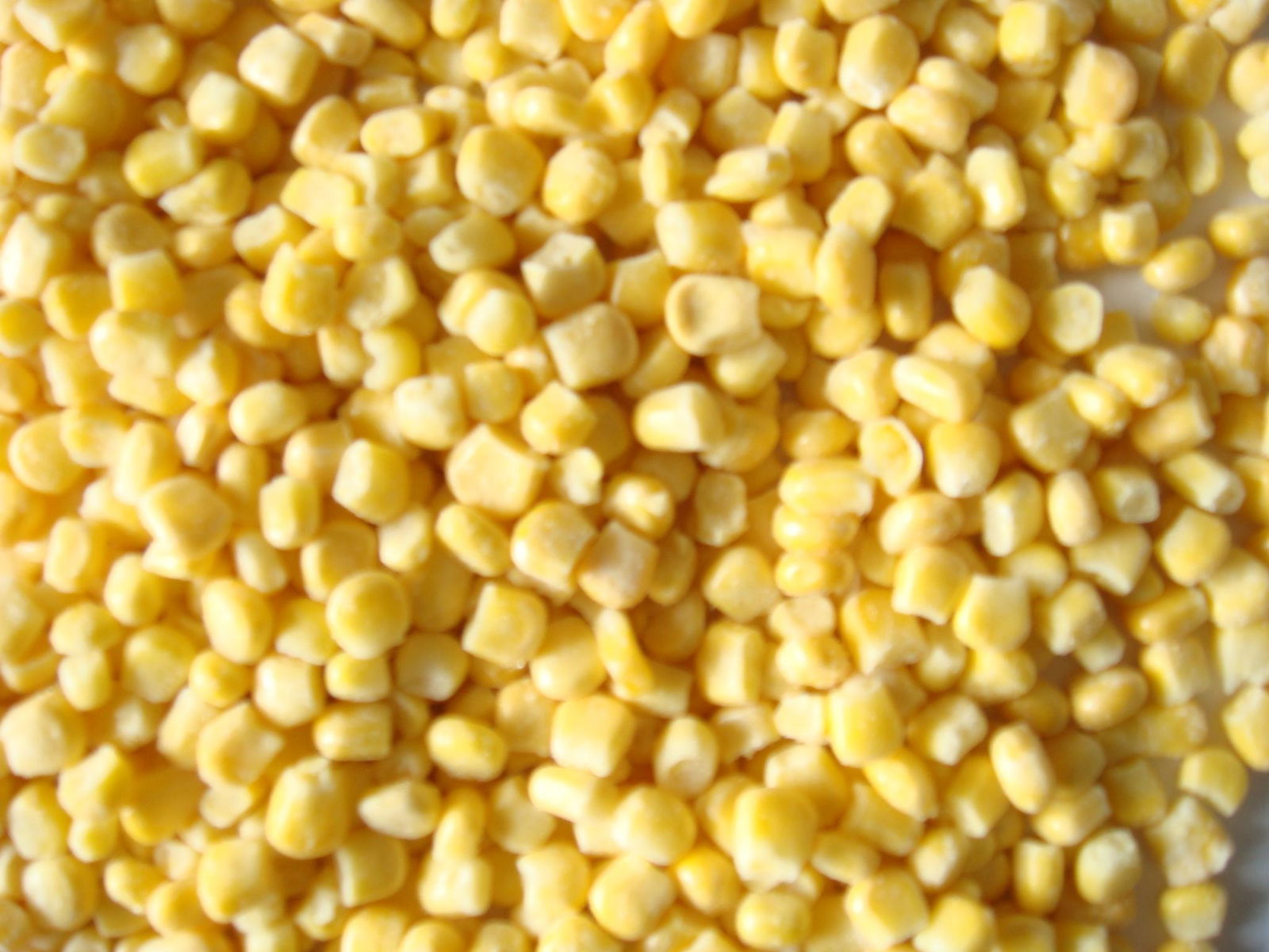 Frozen Sweet Corn Kernel