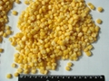 Frozen Sweet Corn Kernel 2