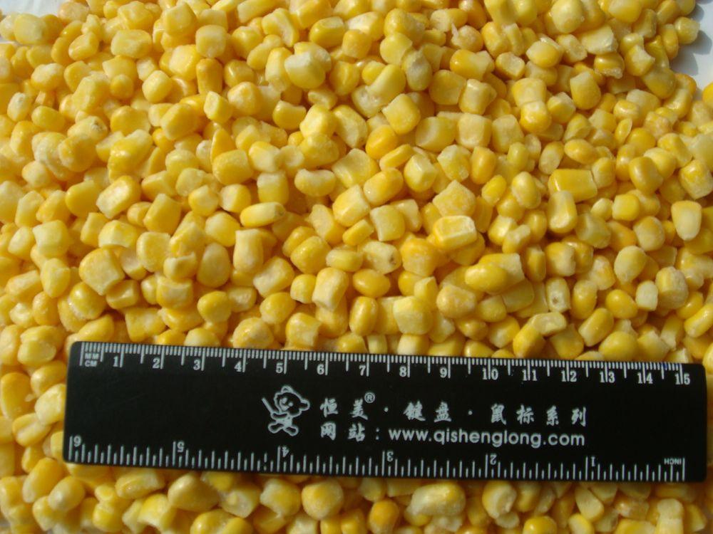 Frozen Sweet Corn Kernel 3