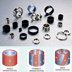 Permanent segment Radial magnetized direction NdFeB Magnets