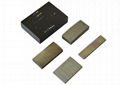 Excellent corrosion resistance NdFeB rare earth permanent Magnet for EPS 2