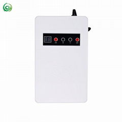 Wholesale 500MG High Performance Small Mini Ozone Generator