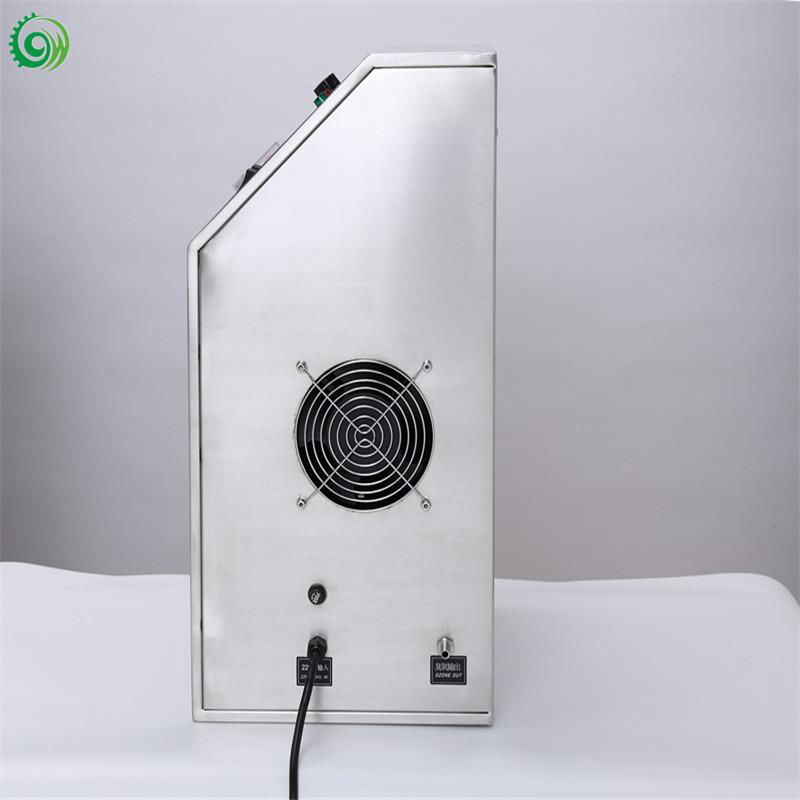 Portable ozone swimming pool water treatment machine 5g/h 5