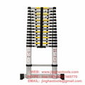 4.4m Aluminum Telescopic Ladder With