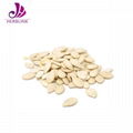 Pumpkin Seed Protein 2