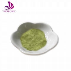 Moringa Leaves Powder