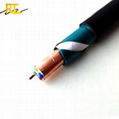 Copper Tape Shielded Armored Control Cable 1