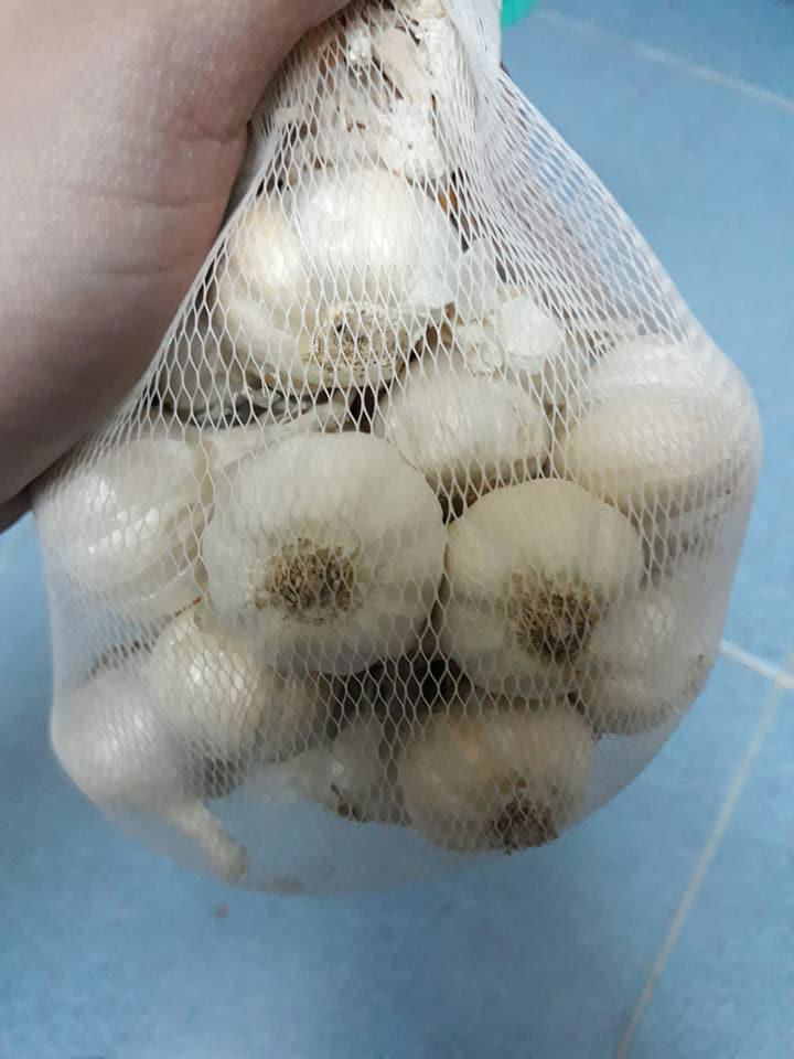 Special Ly Son White Fresh Garlic from Vietnam