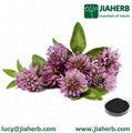 JIAHERB Red Clover Extract 1