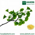 JIAHERB Ginkgo Biloba Extract