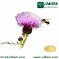 JIAHERB	Milk Thistle Extract Silybum plant extract