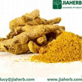 JIAHERB Turmeric root extract Curcumin 95.0% Curcumin HPLC Anti-inflammatory