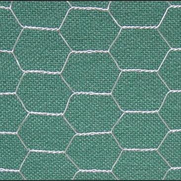 熱浸六角金屬絲網/焊接鍍鋅加離子線網/重六角金屬網 3