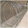 hot dipped galvanized razor wire 3