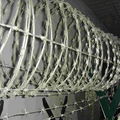 hot dipped galvanized razor wire 4