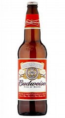 Budweiser Beer Bottles (12 x 660ml x 4.8%)