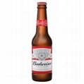 Budweiser Beer Bottles (12 x 300ml x 4.8%) 1