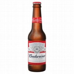Budweiser Beer Bottles (12 x 300ml x 4.8%)