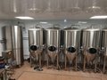 500L Stainless Steel Beer Brewing Equipment Brewing Equipment Fermentation Equip 2